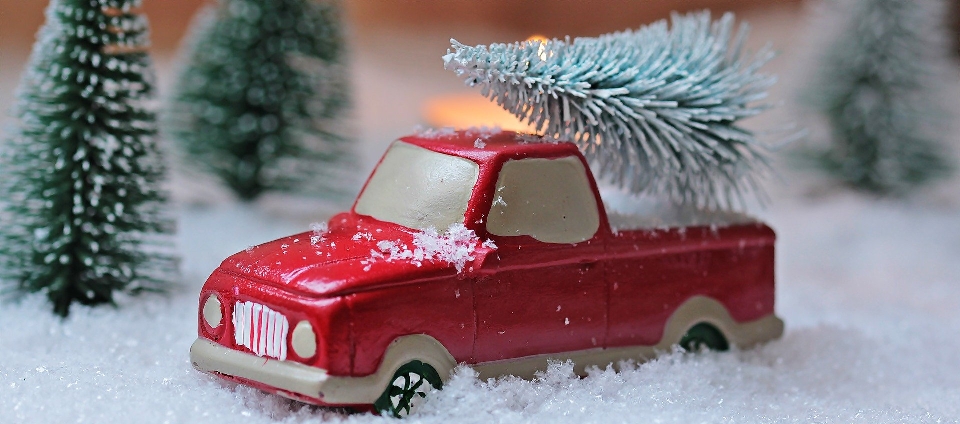 Weihnachtsbaumverkauf (c) JM