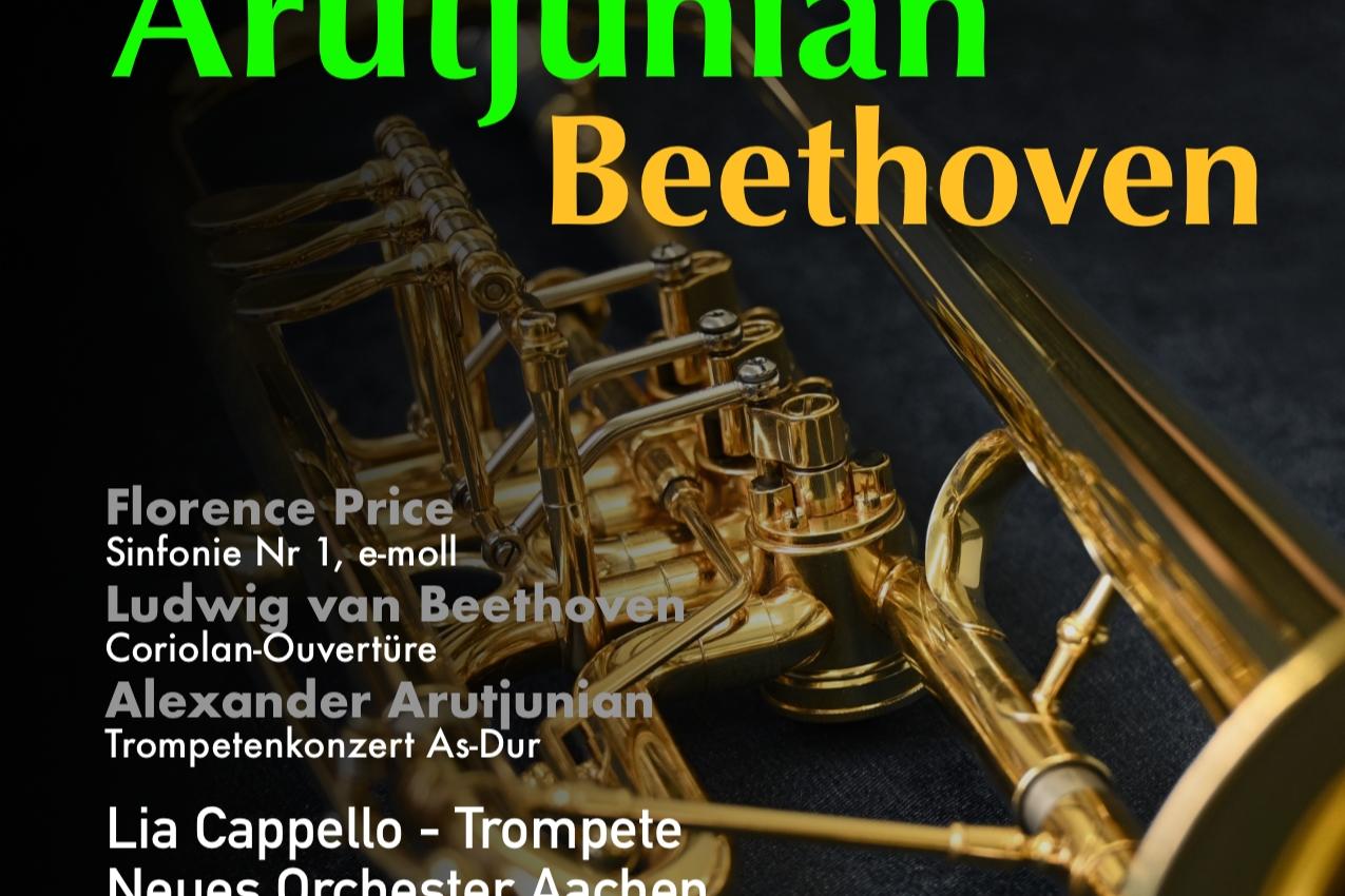Neues Orchester Aachen Herbst 2026